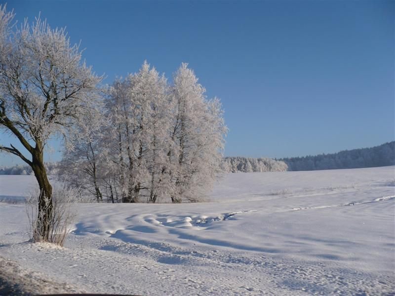 Měnič obrázků - fotografie