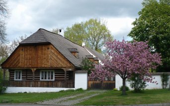 Měnič obrázků - fotografie